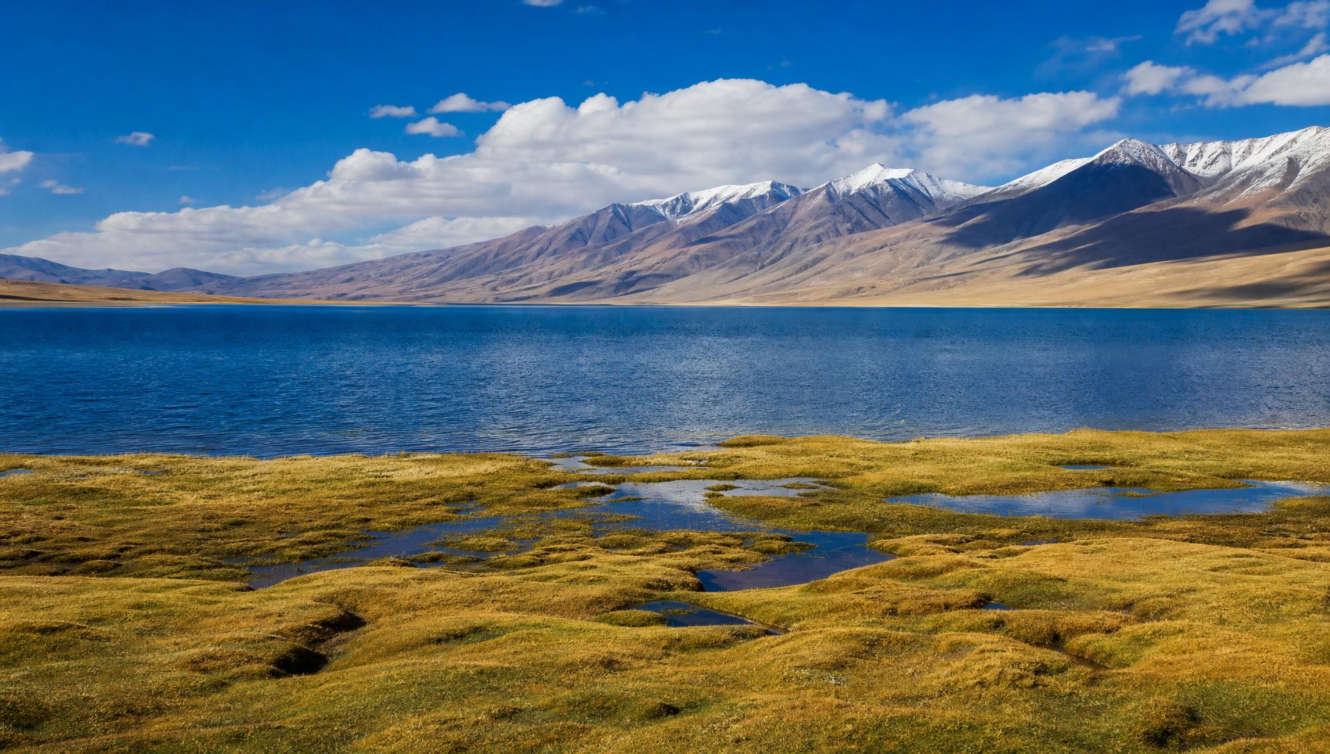 Tso Moriri in Ladakh